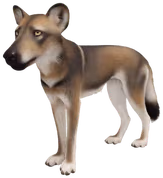 EcosResonantCoat emote
