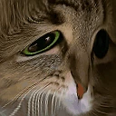 moew emote