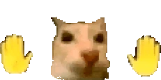 laralara emote