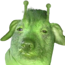 clorp static emote