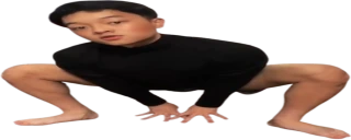 jasont24poses emote