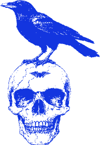 Crow emote