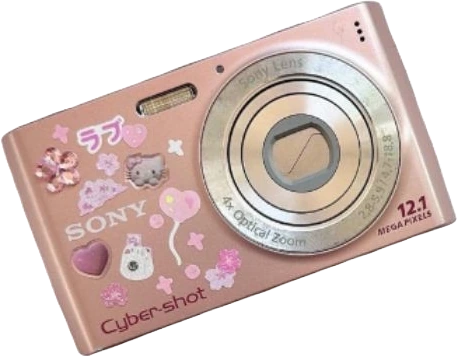Pink_Camera emote