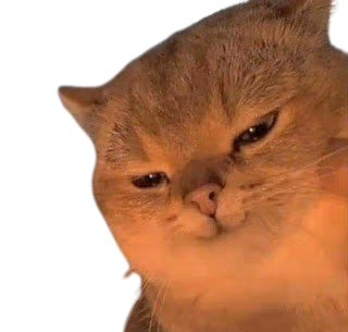 Cat_evil emote