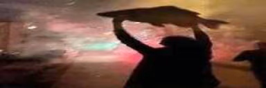 fish6 emote