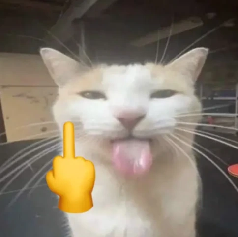 cat_lewfuc emote