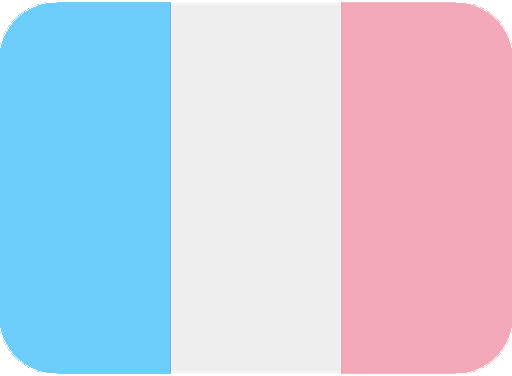 fr_trans static emote