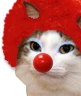 kiisu_clown emote
