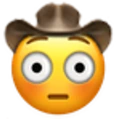 FlusteredCowboy emote