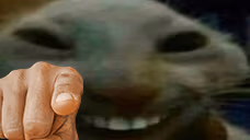 xddyou emote