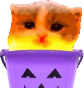 Scared emote