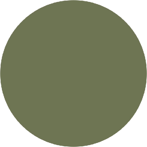 Dark_Green_Circle emote