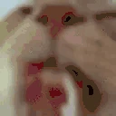 catLick emote