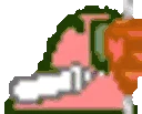 KebabParrot emote