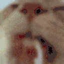 SLURP emote