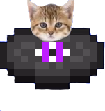 disckitten emote