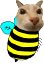 dosevispa emote