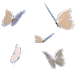 butterflies emote