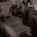 alrightMad emote
