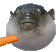 pufferfish animated emote