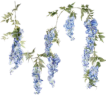 BlueWisteria emote