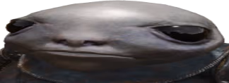 lilbro emote