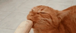 banana emote