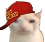 SmokedCat emote