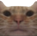 stare emote