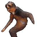 bbPls emote