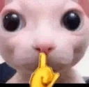 bingus_shush emoji