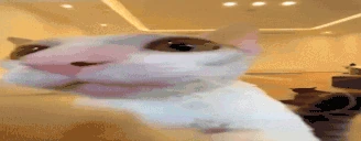 scrajjAttack emote