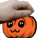 PETTHEPUMPKIN emote