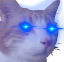 CatCuteEyesBlue emote