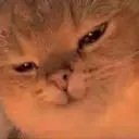 CE_Smug emote