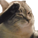 o7 emote