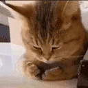 meanie emote