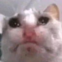 CE_UglyCry2 emoji