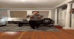 VerhulstPls emote