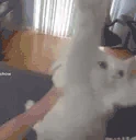 CATEWANNAHUGYOUSOBAD emote