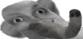 sloniu static emote