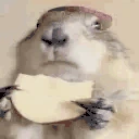VeryPog emote