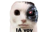 IAVOY emote