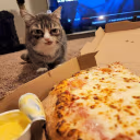 alrightPizza emote