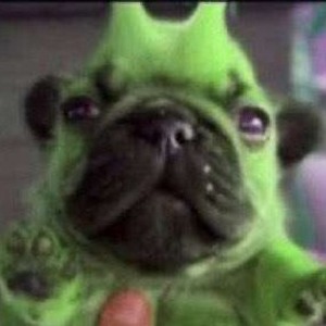 bamboohelbabu avatar