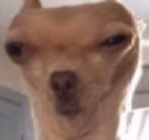 aha66 emote