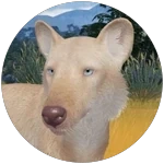 EcosLeucisticCoat emote