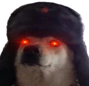 Doggo_Persecute emote