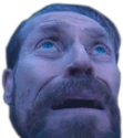 loss emote