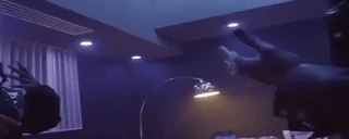 TRIM emote